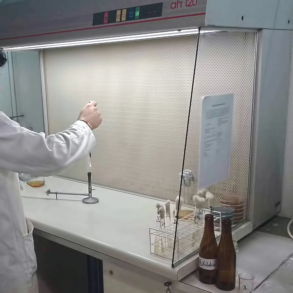 Laboratoire de brasserie de l’UCL, archive du site Valduc