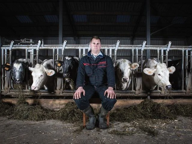 Thibaut Desmet auprès des vaches de la Ferme du Ponceau