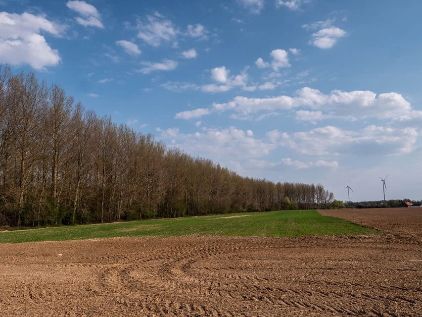 Paysage du Pré du Duc photographié pour le site de la brasserie